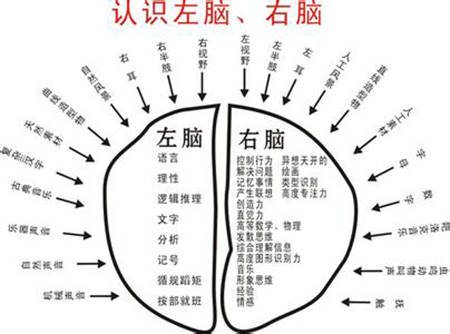 聪明的人都用右脑思考