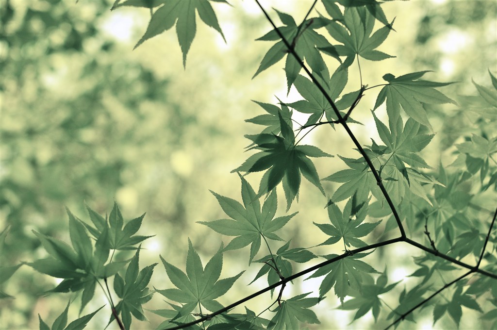 兴趣爱好测试：兴趣是最好的老师
