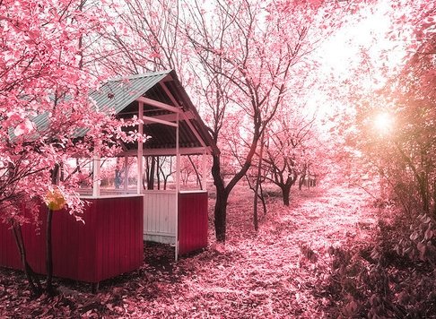 2018年各心理学学校新增的心理学硕士点