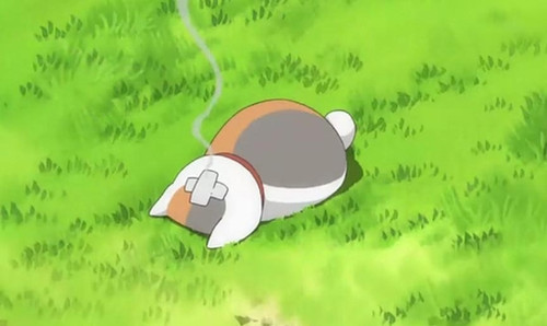 适合夏天的事——夏日友人帐