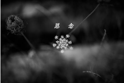 情感倾诉是情感宣泄的出口