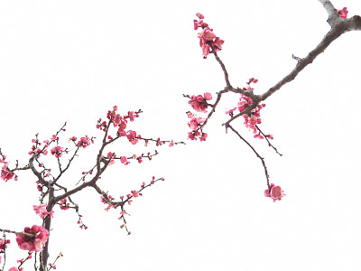 更年期潮热怎么办?更年期表现是什么？