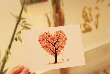 接受新鲜事物，勇敢爱自己