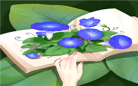 蜡笔小新剧场版资讯
